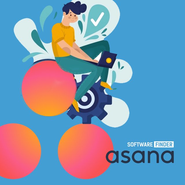 asana-project-management-software.jpg