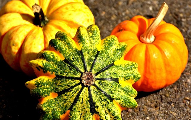 pumpkins-2204643_1280.jpg