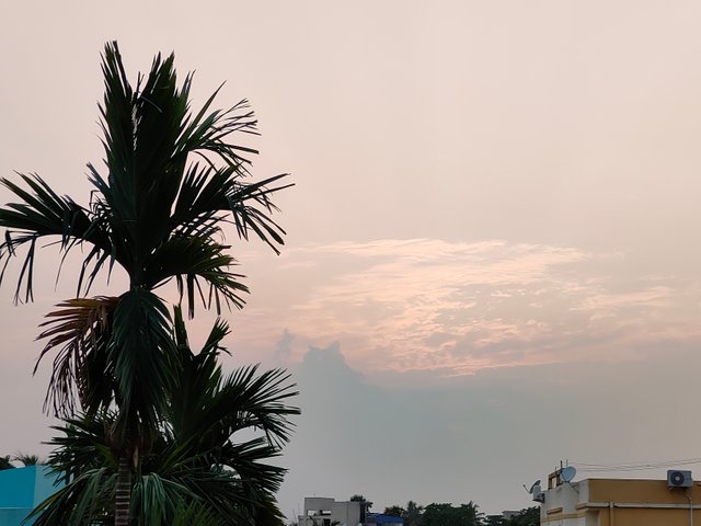 1000054777.jpg