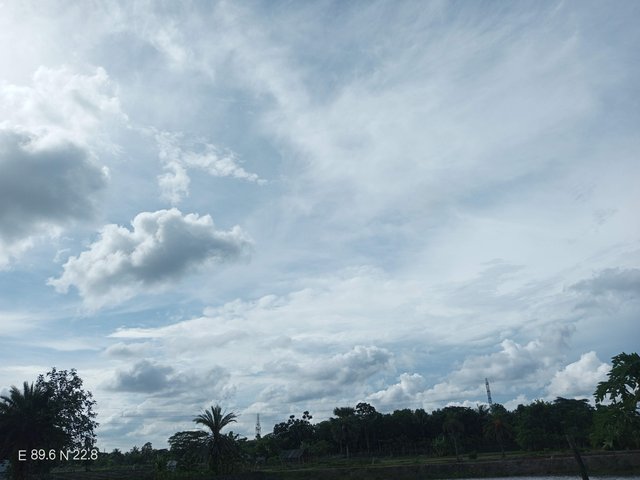 IMG_20250525_153958_059.jpg
