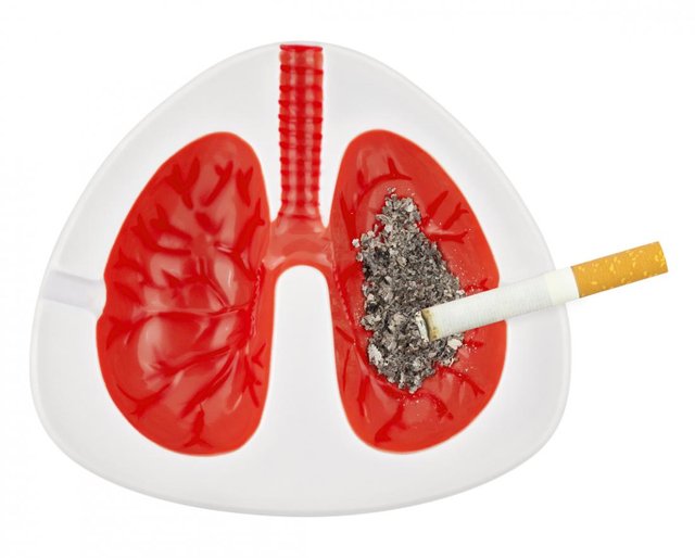 lungs-as-ash-tray.jpg