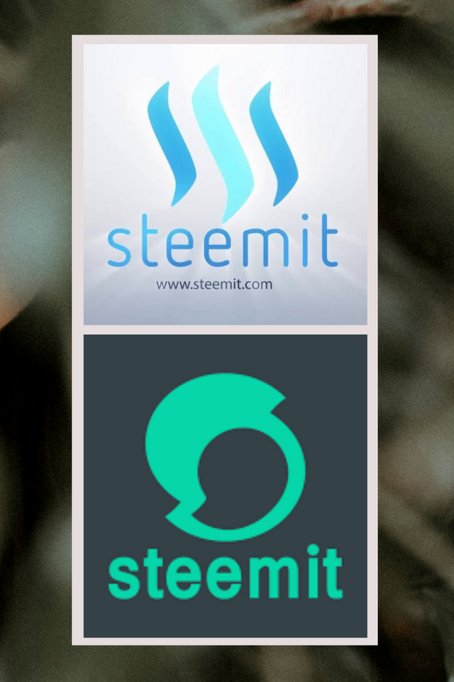 Steemit Earning.png