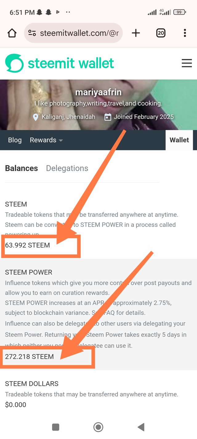 Screenshot_2025-04-17-18-51-55-574_com.android.chrome-edit.jpg