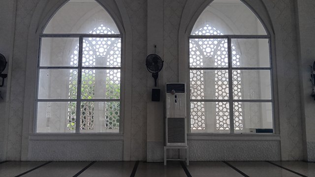 20250616_120336.jpg