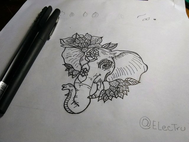 elefante 4.jpg