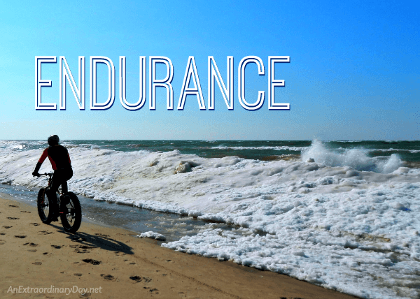 Endurance-Devotional-Beach-Bike-Rider-along-Frozen-Lake-Michigan-Shoreline-AnExtraordinaryDay.net_.png