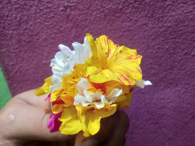 IMG20250320180431.jpg