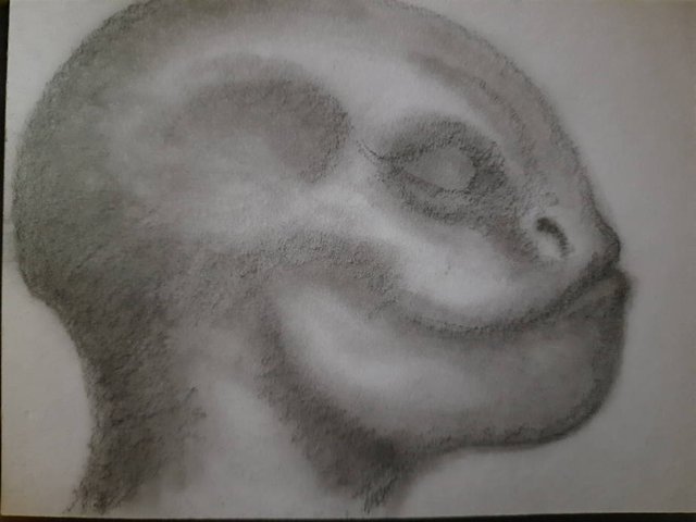20250529_105639.jpg