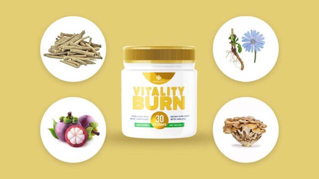 Vitality-Burn-Supplement-Review-ingredients.jpg