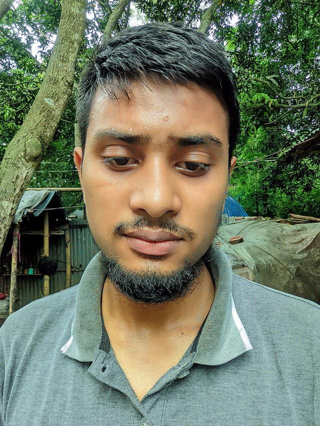 Riyan_20250617_094147774Riyan__🐅The Royal Bengal by Riyan (SG85).jpg