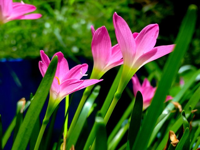 20230625_121344.jpg
