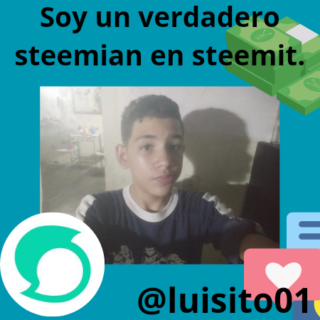 Soy un verdadero steemian en steemit._20240906_211114_0000.png