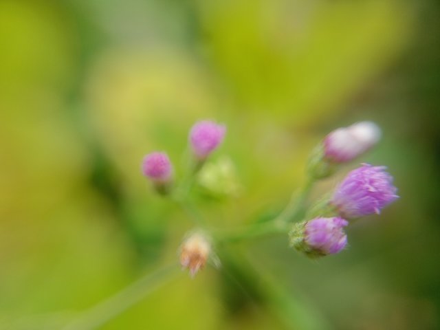 IMG20250720160726.jpg