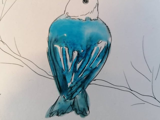 PAINTINGBLUEBIRD654TY (7).jpeg