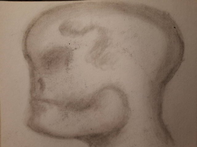 20251002_104237.jpg