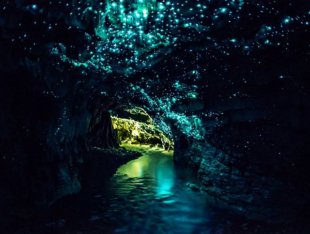 waitomo-caves_1.jpg