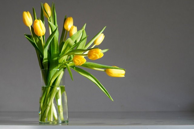 tulips-8544741_1280.jpg
