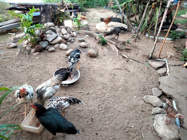 IMG20250826182647.jpg