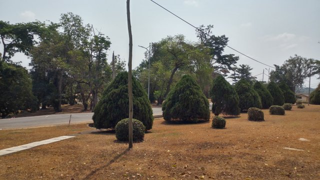 20190201_105639_HDR.jpg