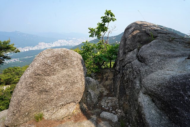 b-DSC01818.JPG