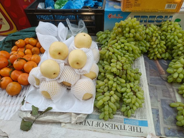 IMG20250328141026.jpg