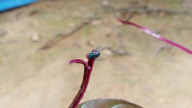 IMG20250419122405.jpg