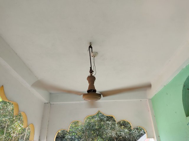 IMG_20250313_113649.jpg