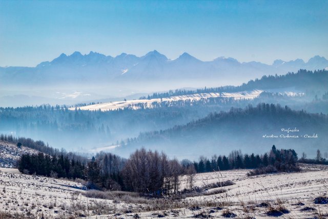 profmedia szczawnica pieniny_new.jpeg