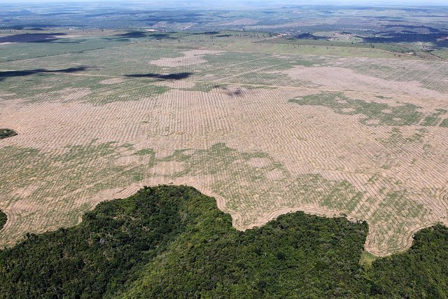 Amazon Deforestation.jpg