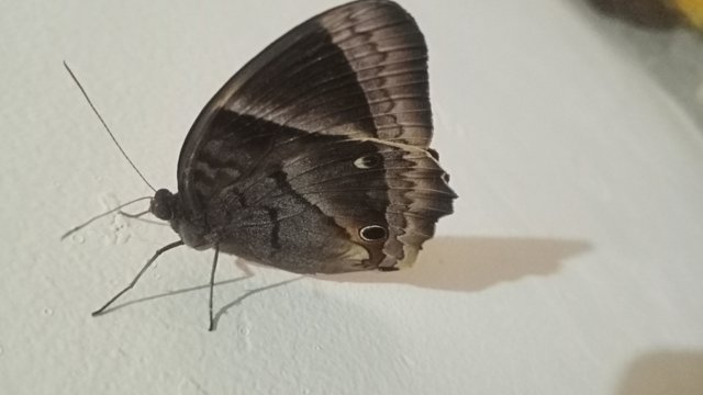 IMG20250531181939.jpg