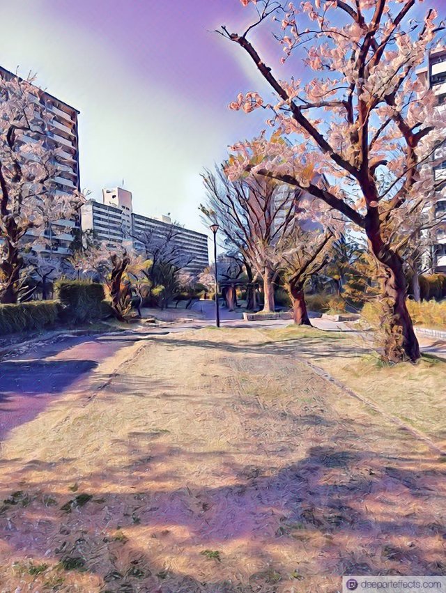 1000047076.jpg