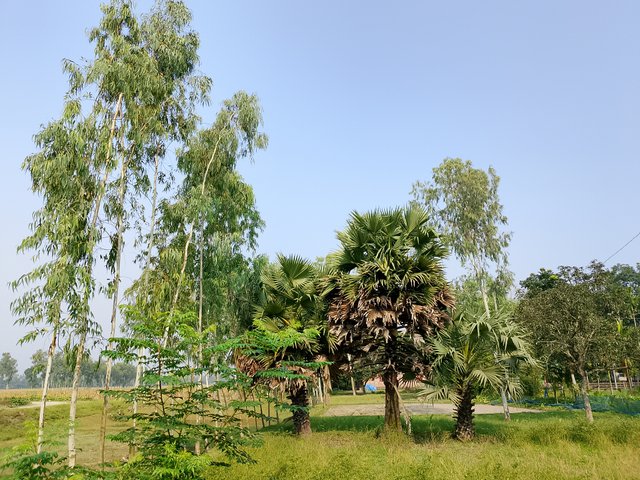 1000040796.jpg