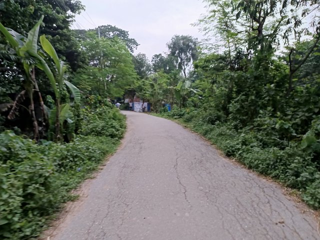 1000015741.jpg