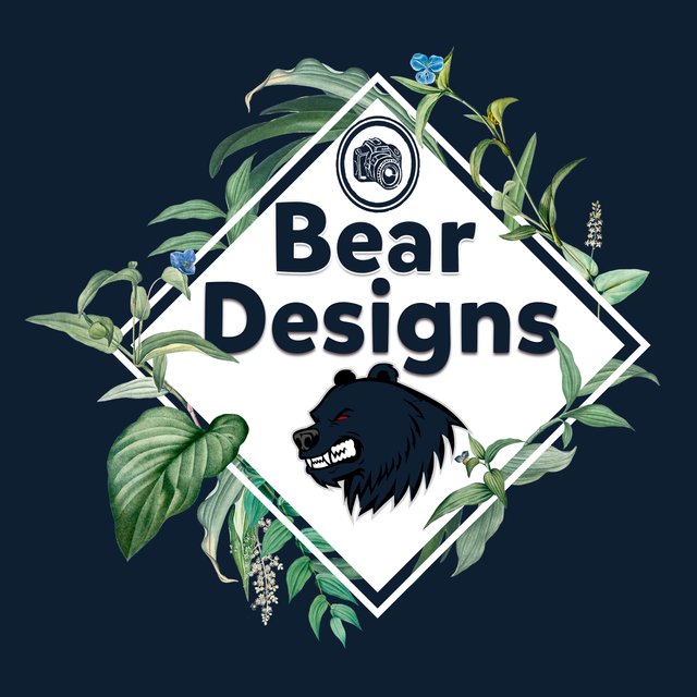 Logo 1 BearDesigns.jpg
