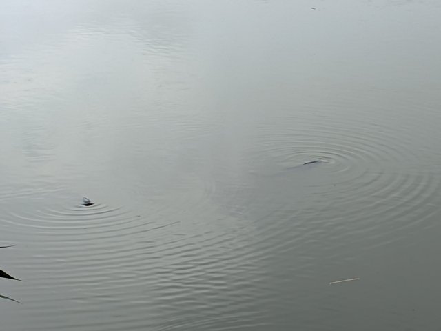 1000050753.jpg