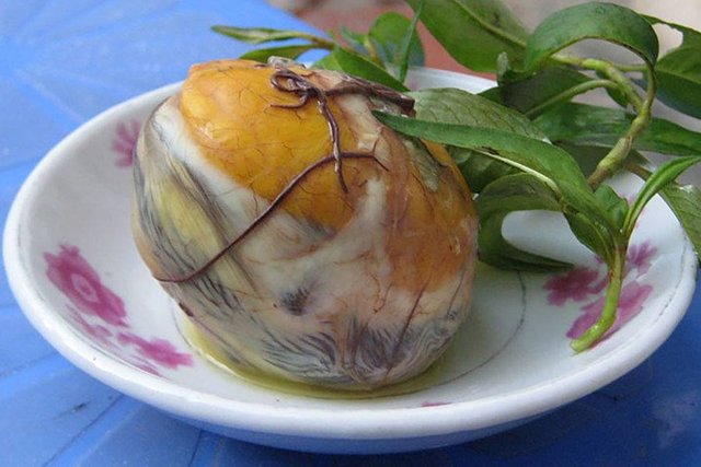 gross-food-vietnam-balut.jpg