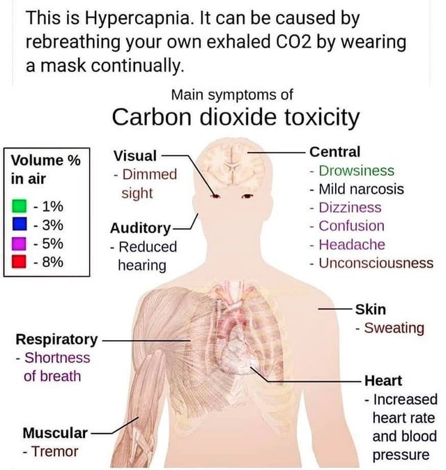 co2 mask.png