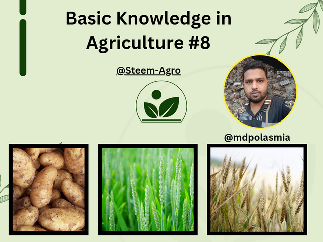 Basic Knowledge in Agriculture #8_20241214_091530_0000.png