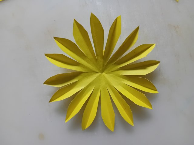 1000043894.jpg