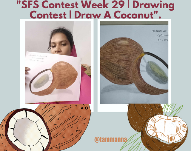 SFS Contest Week 29  Drawing Contest  Draw A Coconut..png