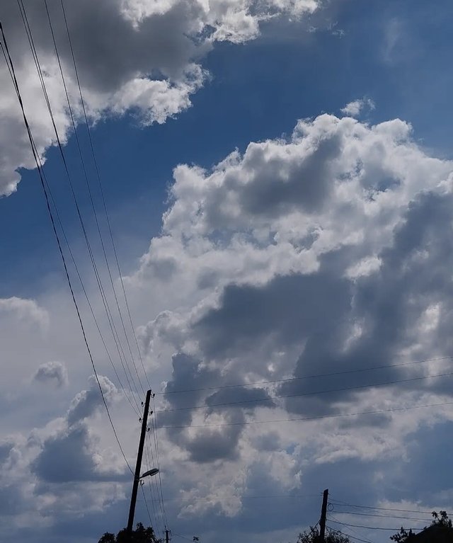 IMG_20250806_224352.jpg