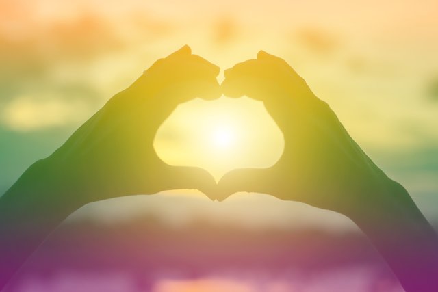 vecteezy_hands-shape-for-the-sun_7953965.jpg