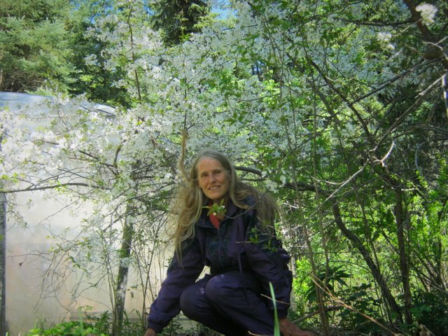 Me in the plum blossoms ready to edit portrait.jpg