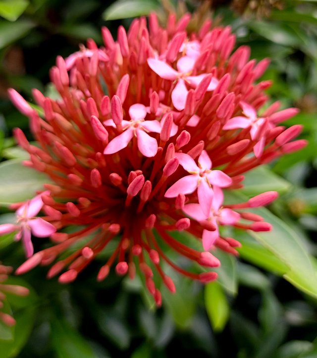 IMG20240726162413.jpg