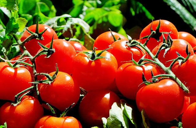 tomatoes-1280859__480.jpg