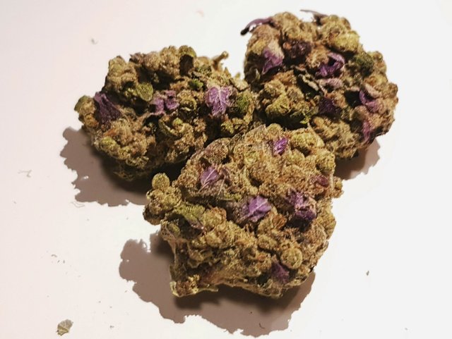 Durban Poison 2 siC.jpg