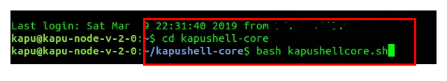 11_run_kapushell-core.png