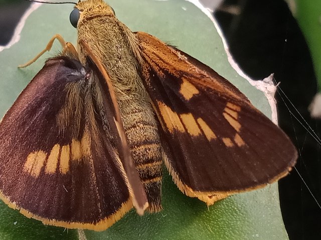 IMG20251008084254.jpg