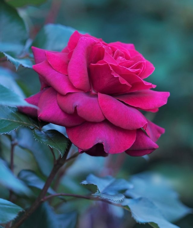 IMG_20250730_210549.jpg