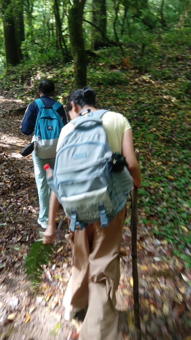 20250523_152915.jpg